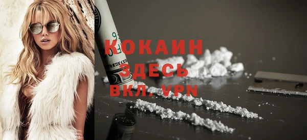 spice Верея