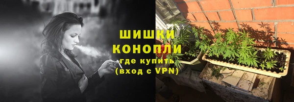 прущие грибы Вязники