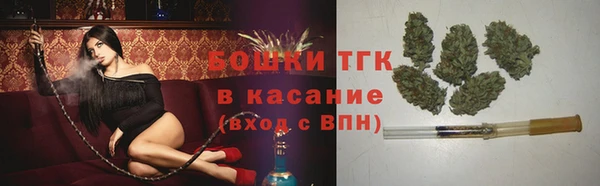 прущая мука Вяземский
