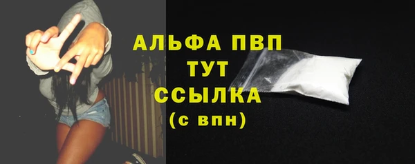spice Верея