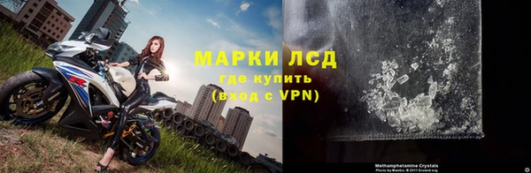 spice Верея