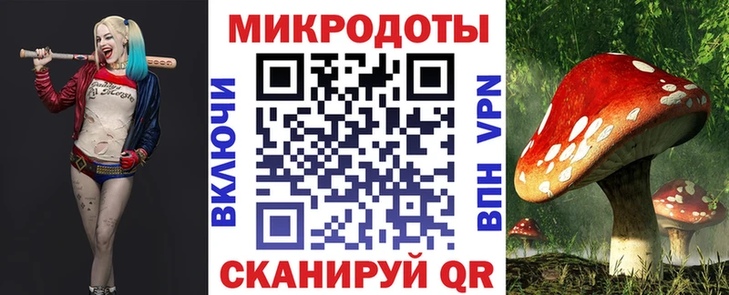 Псилоцибиновые грибы прущие грибы  Купить закладки  Котельнич 