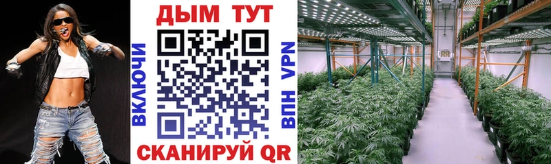 Купить  Котельнич  Бошки марихуана гибрид 